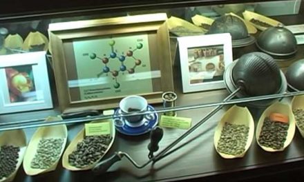 Muzeum které vás zavede do tajů, chutí a vůně kávy