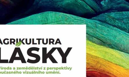 Agrikultura lásky jako současné vizuální umění